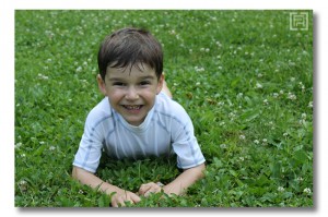 fresh grass-web