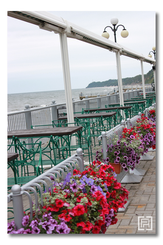 svetlogorsk flower boxes