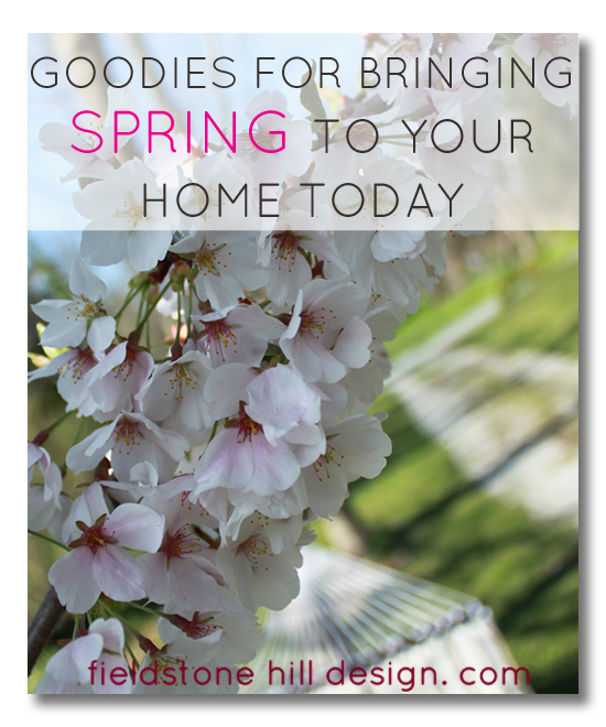 Goodies to bring Spring to your home early, inspired by the honeybee, via Fieldstone Hill Design