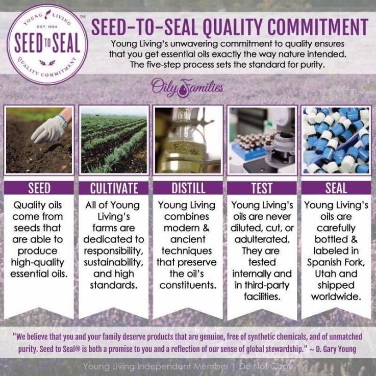 Seed to Seal commitment