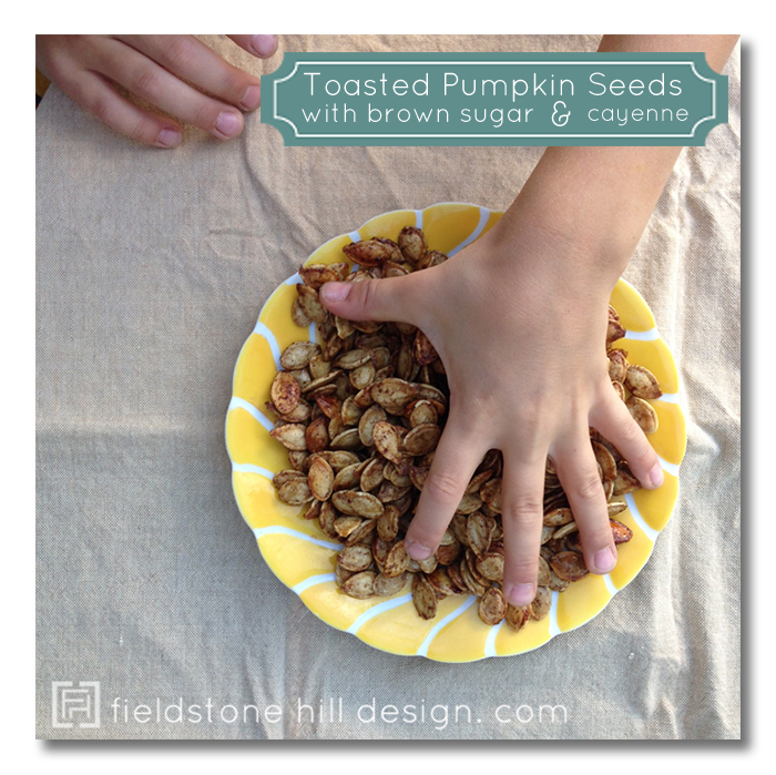 Toasted Pumpkin Seeds with Brown Sugar and Cayenne by Fieldstone Hill Design