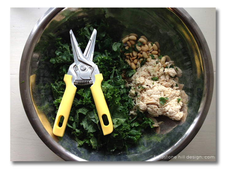 Kale and Chicken Survival Salad, whole food, ingredients