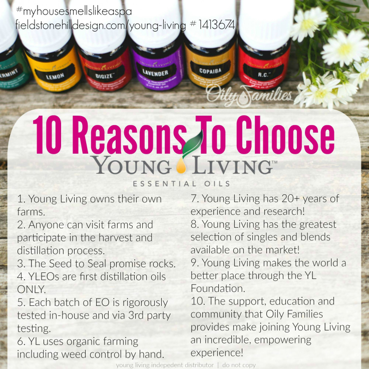 1413674 10 Reasons to Choose YL