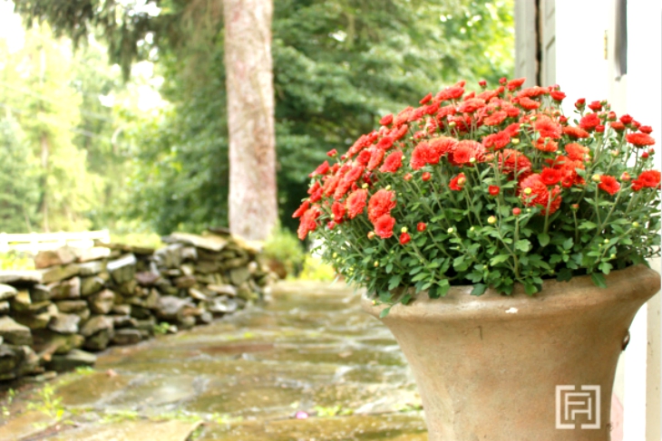 Fall-Home-Tour-Fieldstone-Hill-front-porch