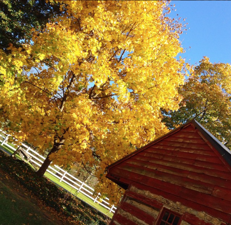 Fieldstone Hill property in Fall via @FieldstoneHill