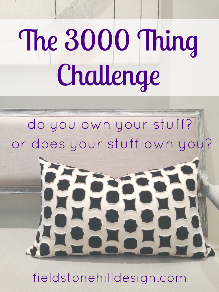 3000 Thing Challenge via @fieldstonehill