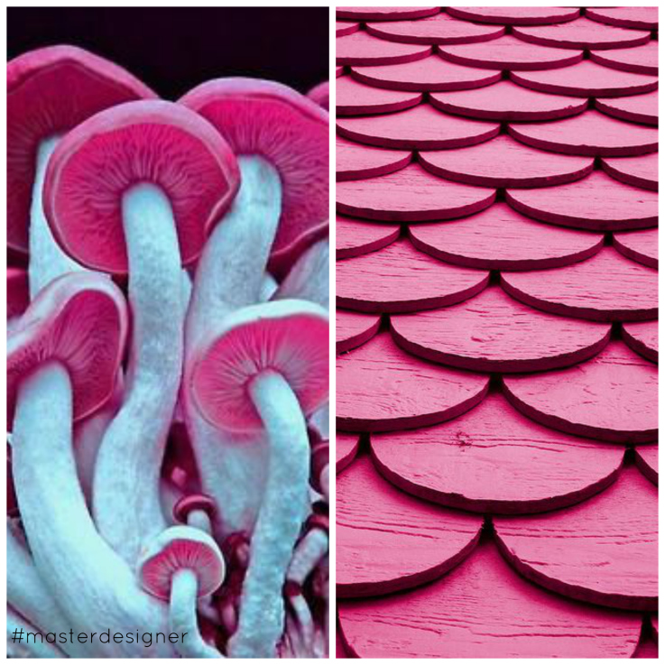 Master Designer Mushroom Collage