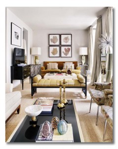 narrow living room
