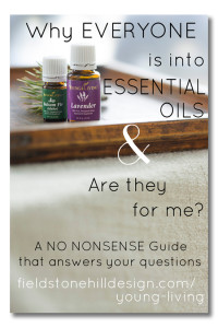 Why Everyone is into Essential Oils, and are they for me? A NO NONSENSE guide to answer your questions. via @fieldstonehill www.fieldstonehilldesign/young-living